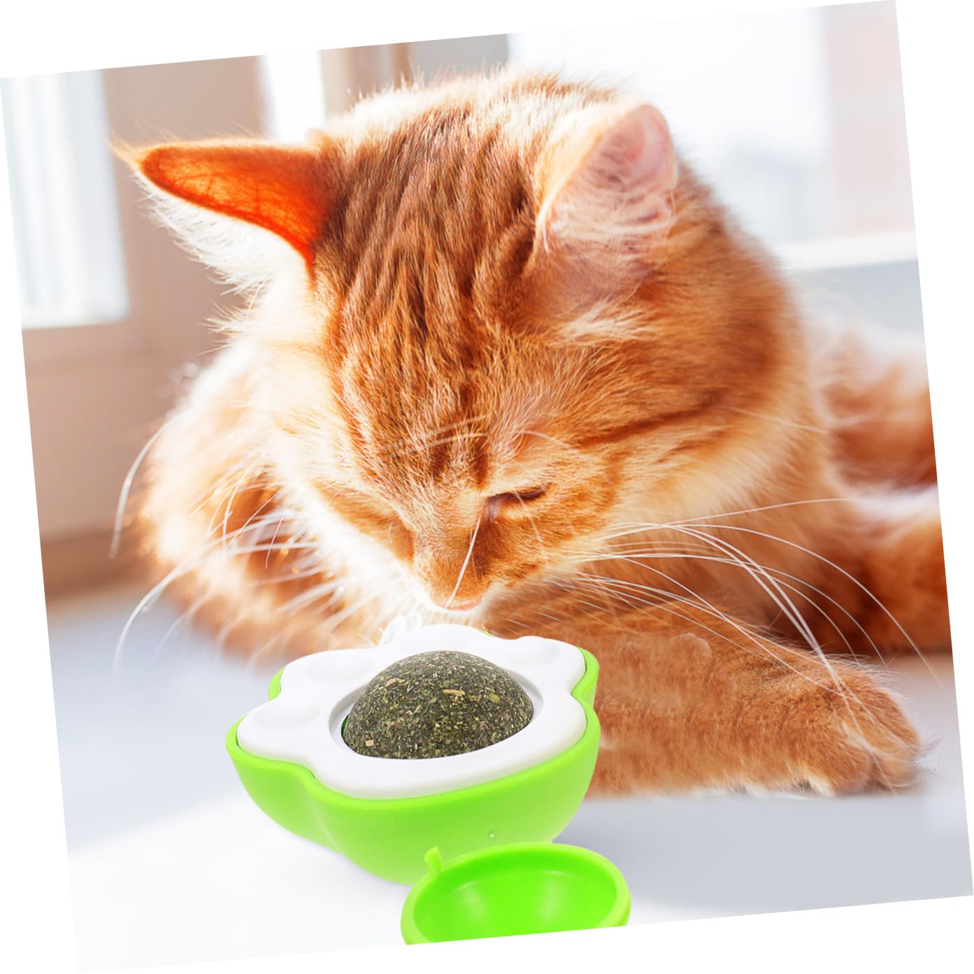 Toddmomy 12pièces Jouet Interactif pour Chat avec Boule De Cataire Comestible Stimule Le Jeu Et Hygiène Jouet Indoor pour Chatons