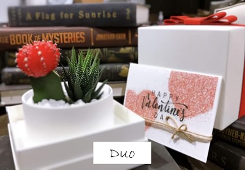 Miniatura 5 de Caja de regalo suculenta (resplandor  maceta y caja de marfil)