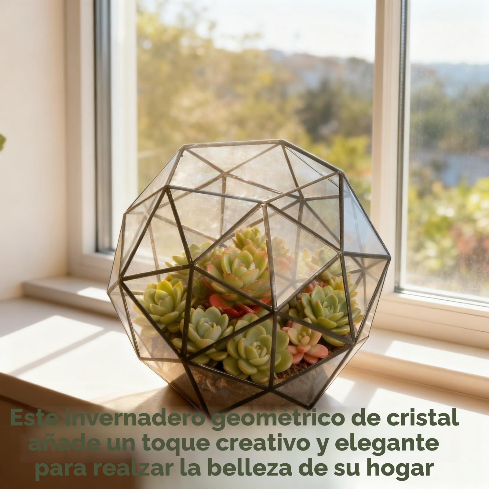 Terrario geométrico Maceta Maceta de Vidrio Contenedor Planta de Aire Exhibición para suculentas Balcón Mesa Miniatura Jardín de Hadas Decoración Moderna