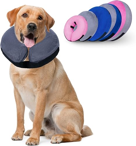 amazon inflatable dog cone
