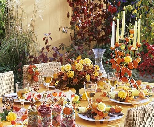 Miniatura 7 de 100 bolsas de celofán de Acción de Gracias, bolsas de celofán de otoño, calabaza, hojas de otoño, pavo, girasol, búho, bolsas de regalo, para fiesta