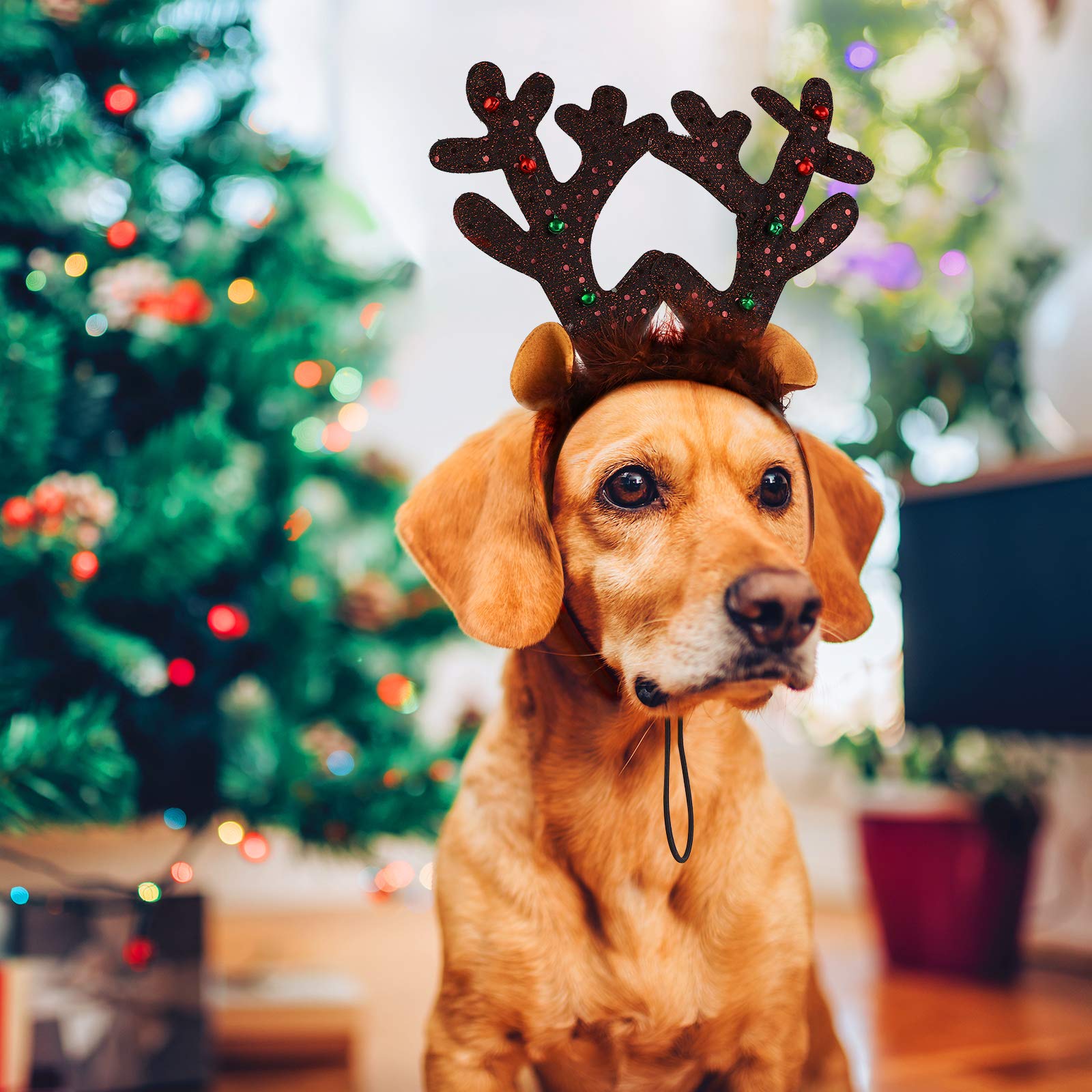 Diadema Con Astas De Para Perro Y , Disfraz De Ciervo Para | Cuotas sin interés