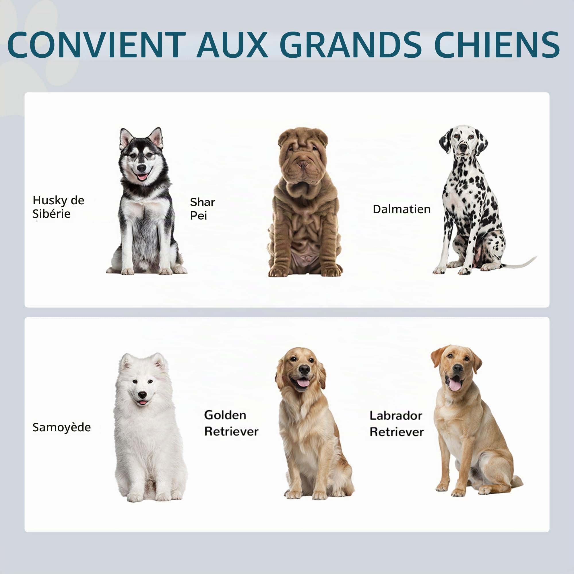 PawHut Gamelles surélevées Grands Chiens, Station d'alimentation Café | Avec rangement, deux bols en acier inoxydable, distributeur de nourriture pour chiots d'intérieur.