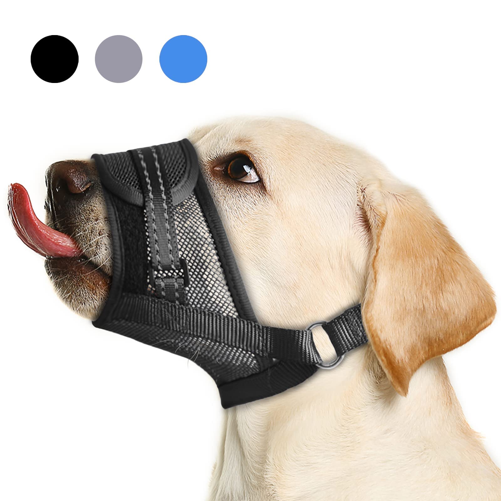 Can You Keep A Muzzle On A Dog