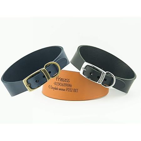 personalised whippet collars