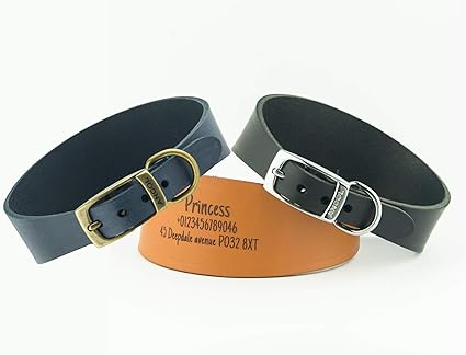 lurcher collars amazon