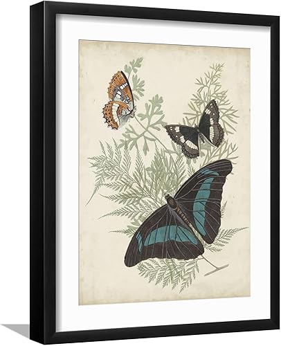 ART.COM Vision Studio - Póster enmarcado para pared, diseño de mariposas y helechos, decoración de animales, 12 x 16 pulgadas, marco negro con