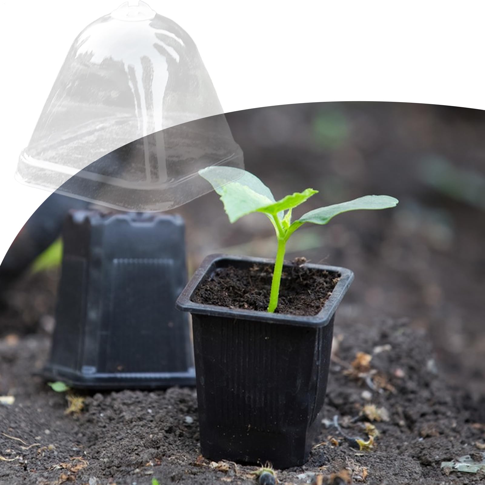 Funda Mini para Macetas - Cubierta Protectora Transparente para Plantas | Tapa Hidratante 10X Humedad Impermeable para Invernadero Cultivo De Suculentas Protección Lluvia Vivero Plantación