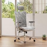 SIHOO Chaise de Bureau, Siege de Bureau Ergonomique, Fauteuil à Dossier Haut Respirant avec accoudoir de Chaise réglable 3D en Maille respectueuse de la Peau et Support Lombaire - 1