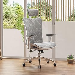 SIHOO Chaise de Bureau, Siege de Bureau Ergonomique, Faut…
