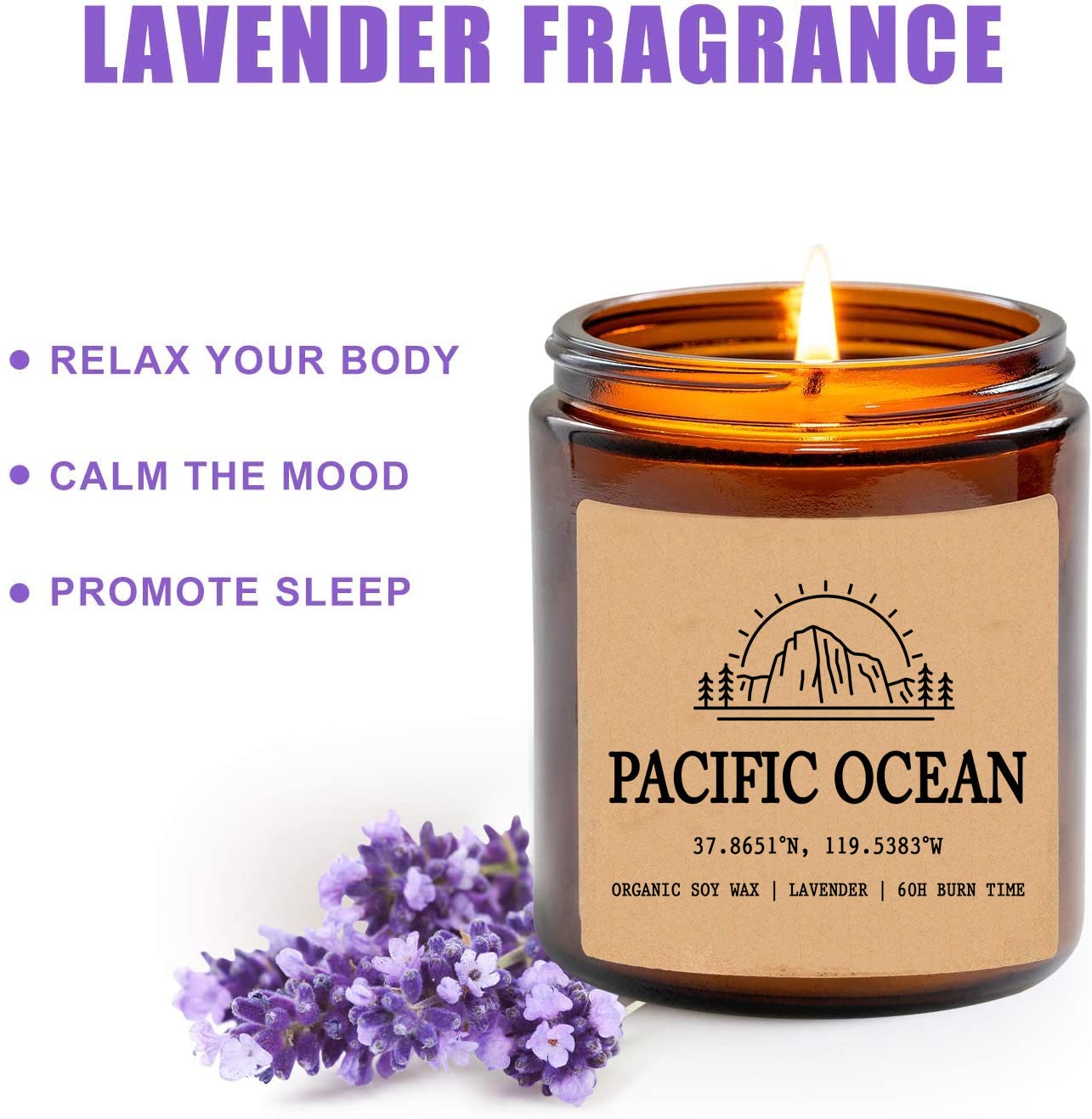 Pacific Ocean - California Scented Candle - Organic Soy Wax - Gift for Her - Gift for Him - New Home Gifts - Birthday Gift for Friend - National Park Gifts - State Candles