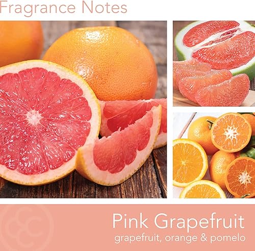 Vista 191 de Colonial Candle Vela perfumada en frasco, cilindros clásicos, brillo navideño, 2 mechas, 19 onzas, morado