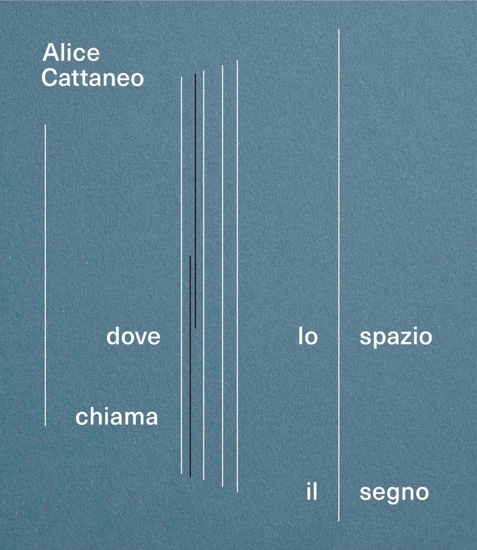 Livre d'art Alice Cattaneo : catalogue prestigieux de l'exposition contemporaine de Turin