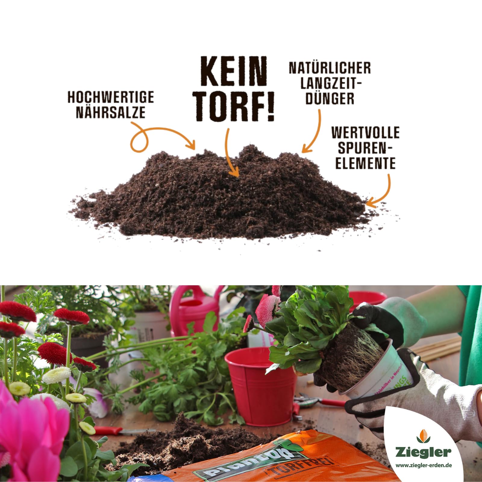 Plantop Grnpflanzen- und Palmenerde torffrei 18 Liter  Spezialerde fr  Zimmerpflanzen & Palmen  Mit Perlite, Quarzsand & Timpor Holzfaser  ...