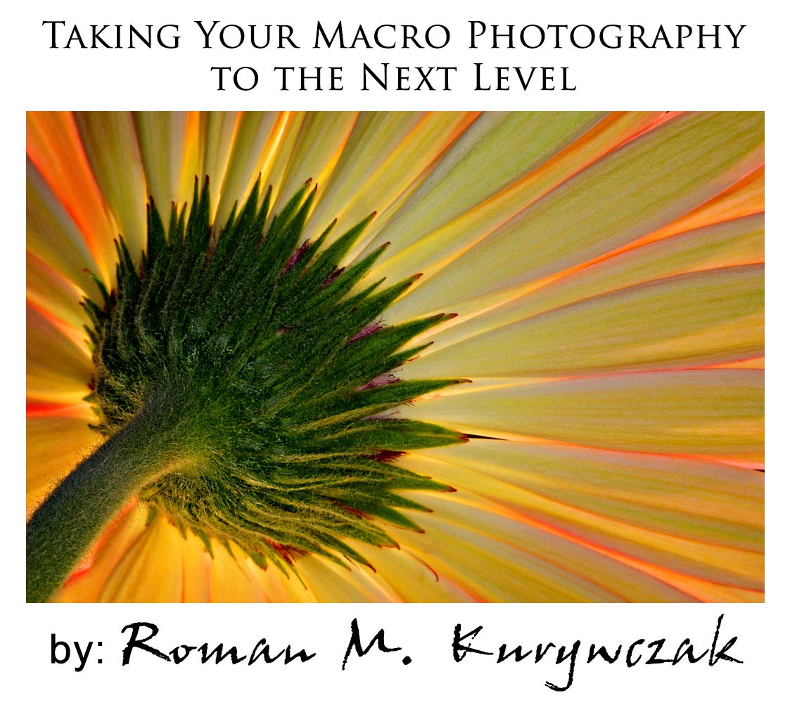 Macro Photography English Edition livre de photographie macro pour débutants et passionnés