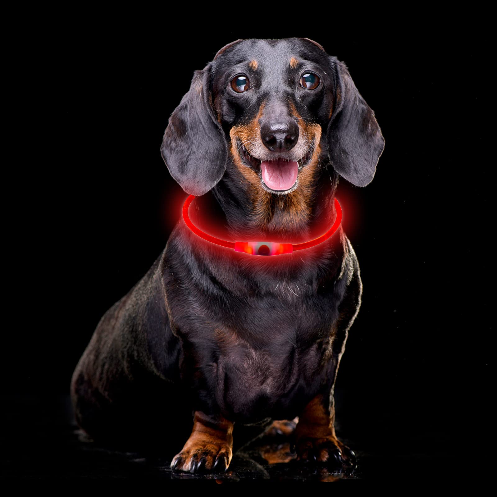 Collier Lumineux Chien Rechargeable, LED Colier Chien Longueur Ajustable pour Chiot Chat Petit Grand Chien, Collier Fluorescent Chien avec 3 Modes d'éclairage Imperméable, Rouge