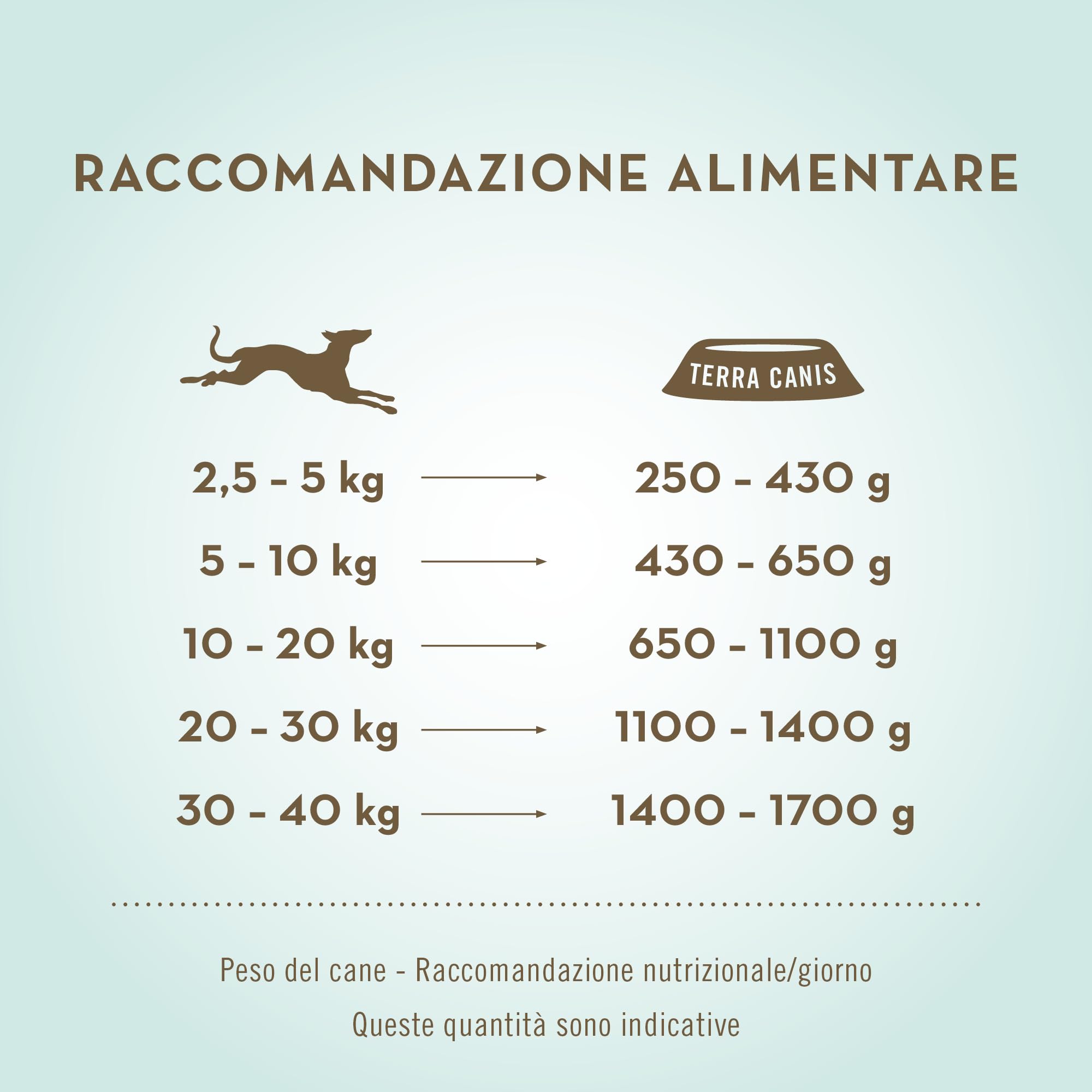 Terra Canis Anatra con zucca, cibo umido senza cereali per cani, 6x800g | Materie prime di qualità alimentare al 100%, con carne fresca, ricco di nutrienti, senza cereali e glutine
