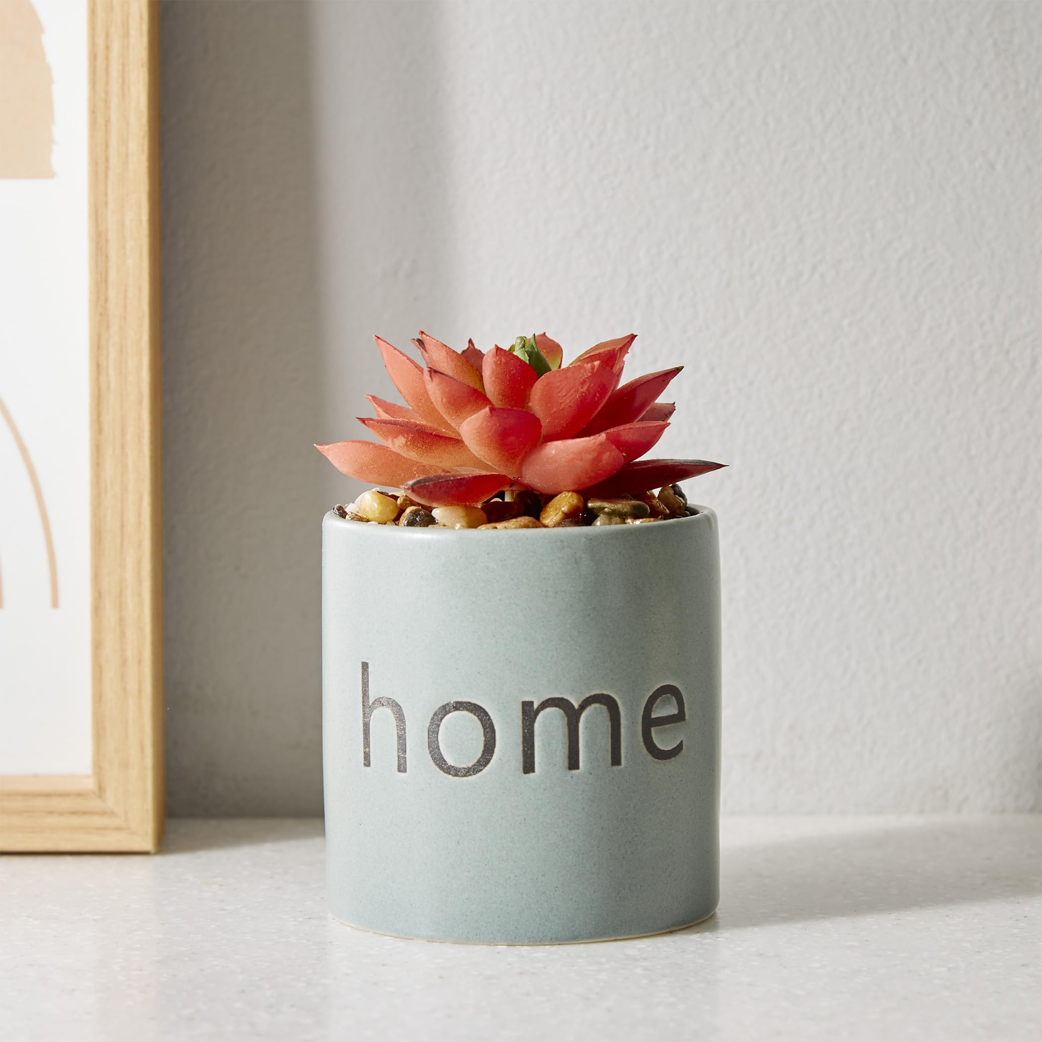 Home Centre Garnet Garden Artificial Succulent Ceramic Planter