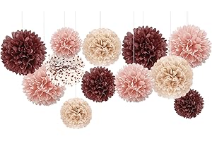Dusty Rose Tissue Pom Poms: A Touch of Elegance for Special Occasions
