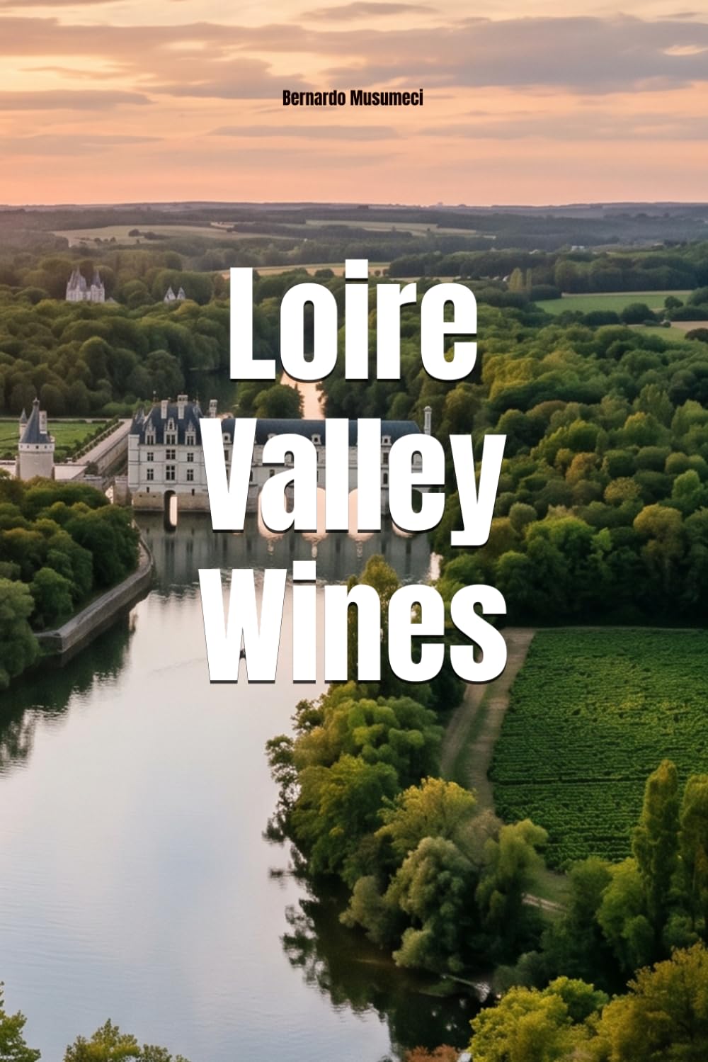 Loire Valley Wines (Wines of the World: France)