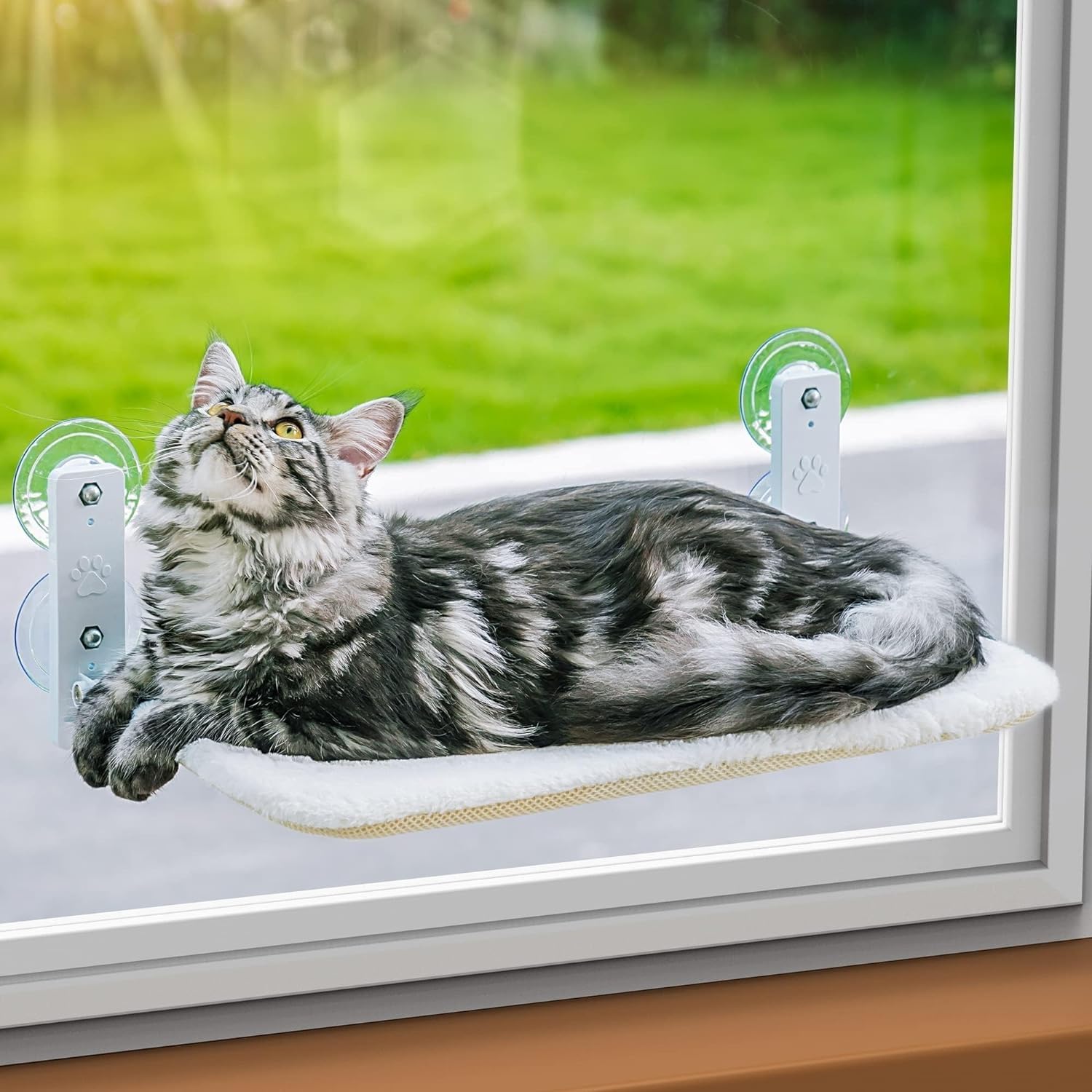 Hamac Chat Fenetre Pliable | Lit pour Chat avec Ventouses Renforcées | Tapis Réversible et Lavable Jusqu'à 18kg | Offert 3 Jouets + 2 ventouses de rechanges (Gris fenetre)