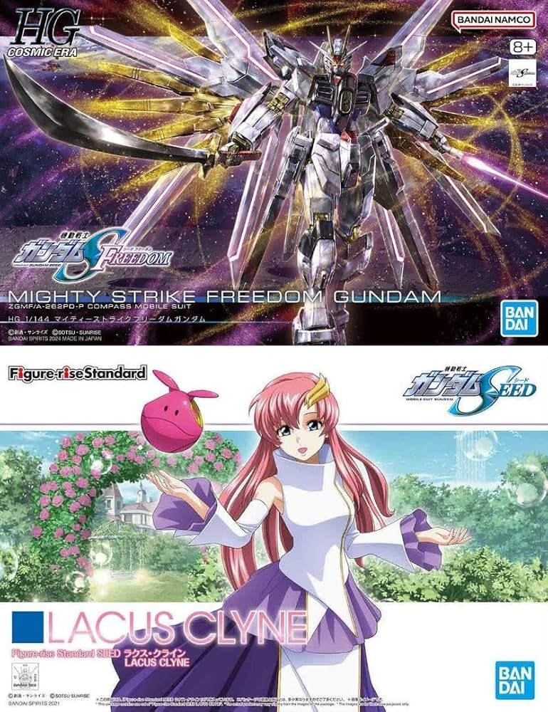 HGマイティーストライクフリーダムガンダムラクスクラインセット