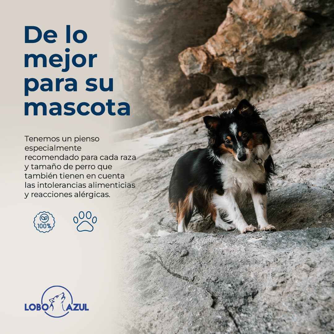 Pienso para Perros de Competición - Alto en Proteínas y Grasas para Desarrollo Muscular - Ideal Cazadores, Mushing, Rescate, Rendimiento - Alta Actividad Física - 15kg Lobo Azul Competición