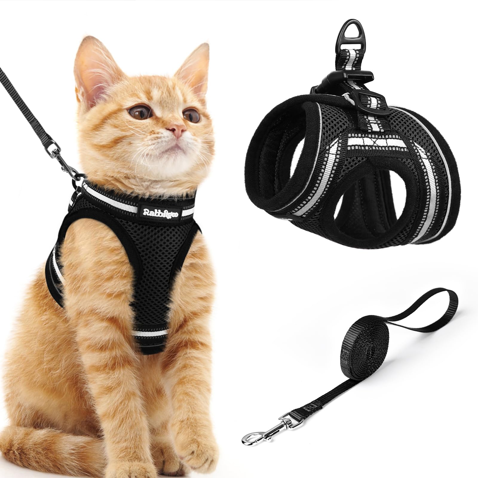 Gilet petit chien réglable et chat pour promenade en toute sérénité