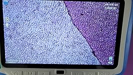 Review Image by AndySki AndySki