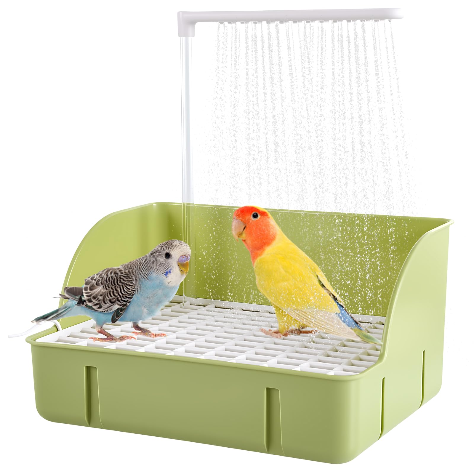 Bañera de baño para pájaros Baño automático para pájaros con bomba, bebedero para pájaros baño accesorios de ducha para periquitos, pájaros, loro (verde, L)