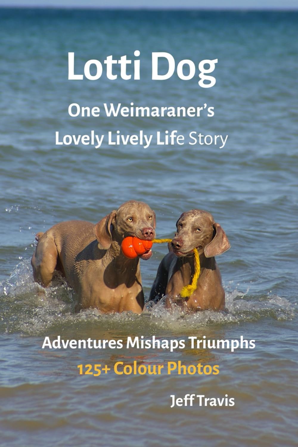 Lotti Dog Our Weimaraner's Lovely Lively Life: Adventures Mishaps Triumphs 125+ COLOUR Photos (The SUPER LOTTI Trilogy)
