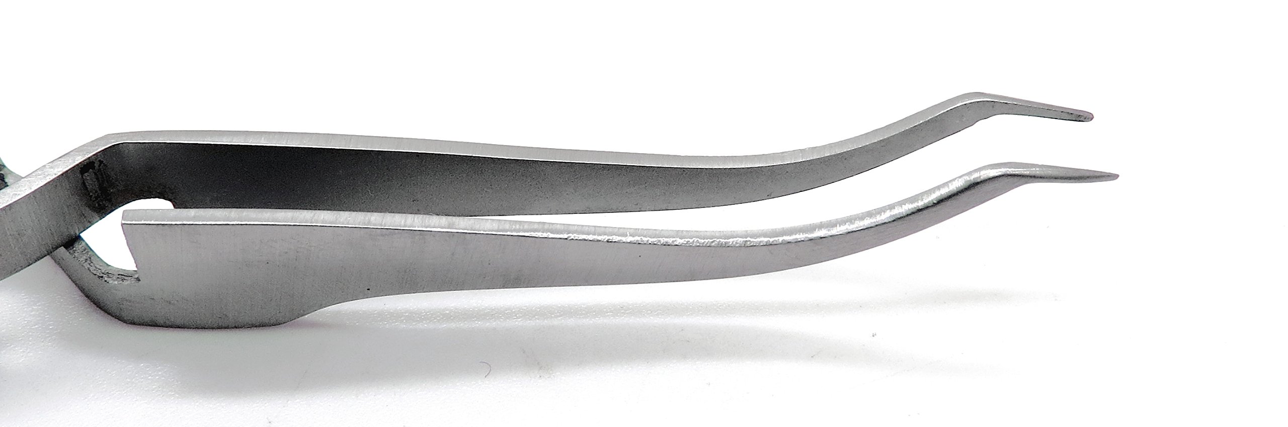 Pince à Tube Buccal Orthodontie AG - Action Inverse, Acier Inox, Autoclavable