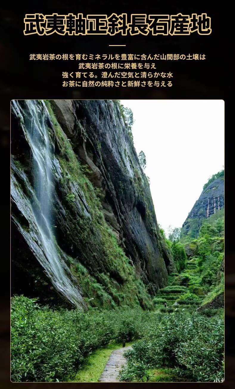 Amazon.co.jp: 濃香型 肉桂茶 烏龍茶 武夷岩茶 香りが長持ち 桂皮の