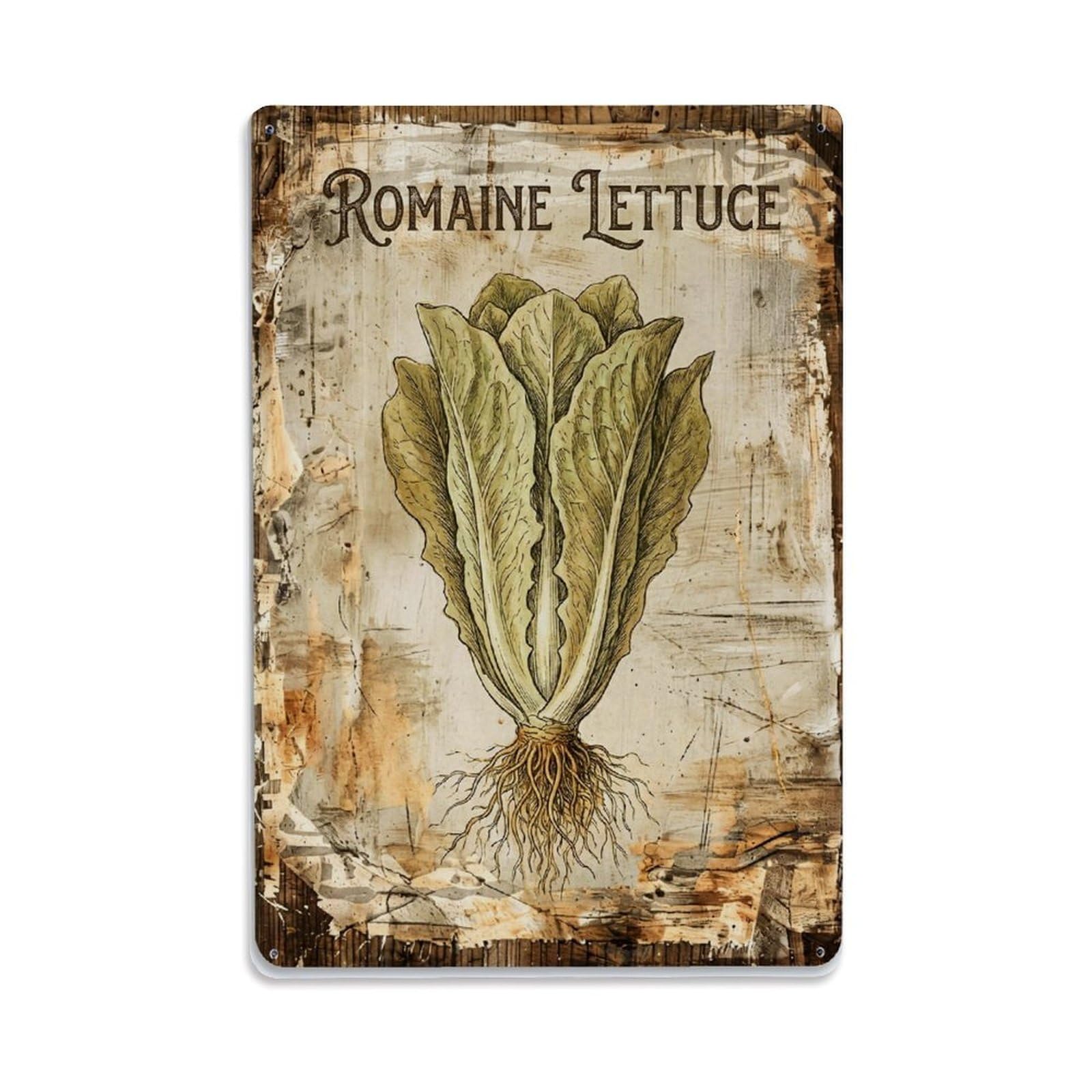 Romaine Lettuce Vegetable 1 Vintage Metal Tin Sign Plaque Wall Decor for Cafe, Club, Garden Metal Poster 8x12Inch