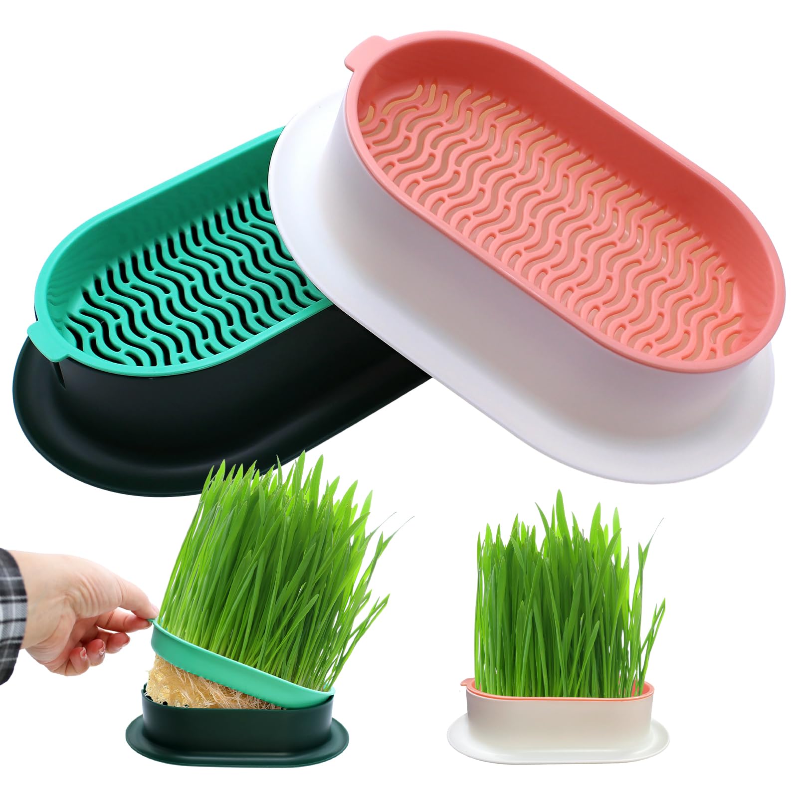 2 Stück Keimschale Katzengras Samen Pflanzschalen Kunststoff Keimschalen Hydroponik Seed Sprouter für Garten Home Office