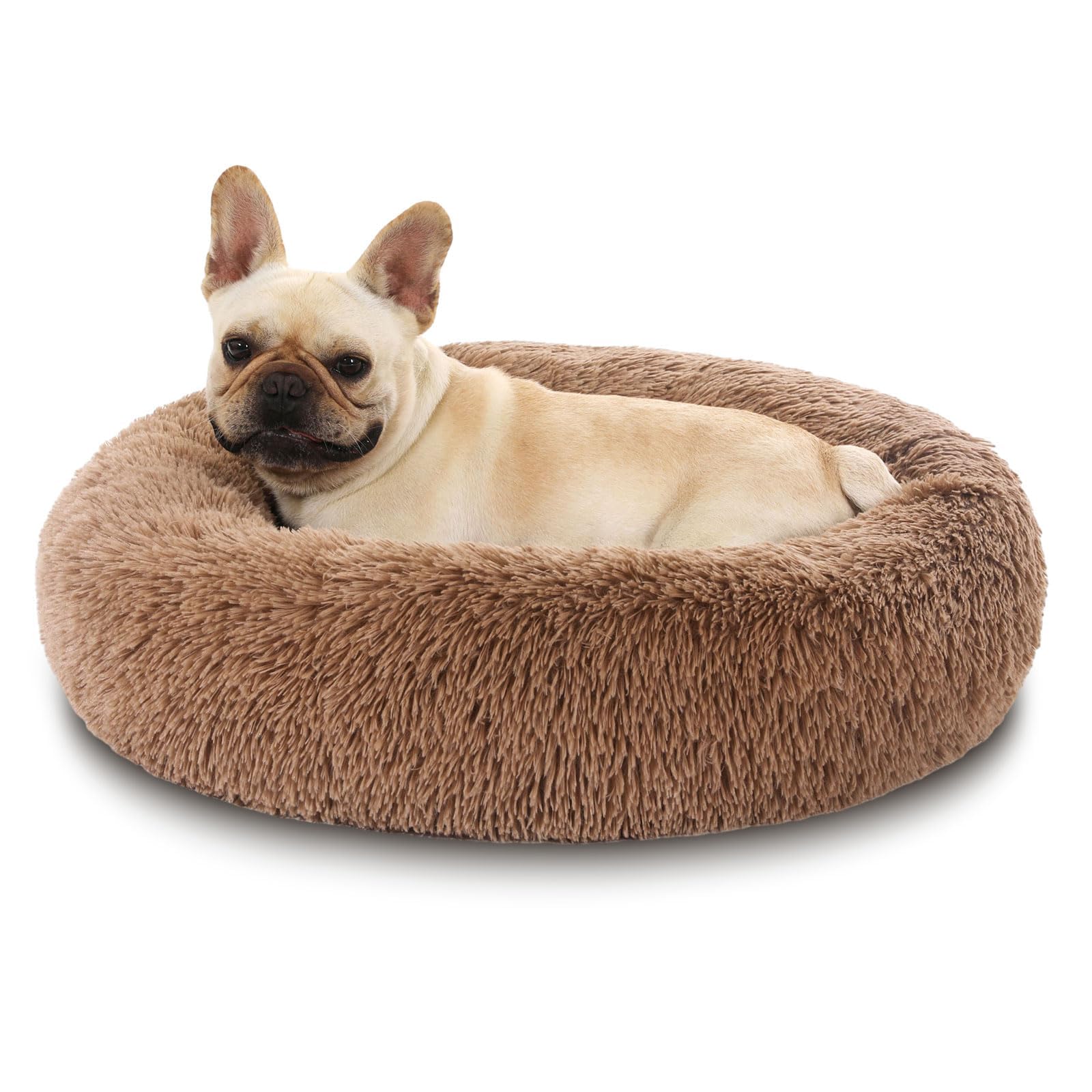 Cuccia Cane Gatto Rotondo da Ciambella Soffice Pelliccia Sintetica di Peluche Letto Per Cani e Gatti [M, Ø50 cm] Cuccia per Cane Gatto con Fondo Resistente All'acqua e Antiscivolo