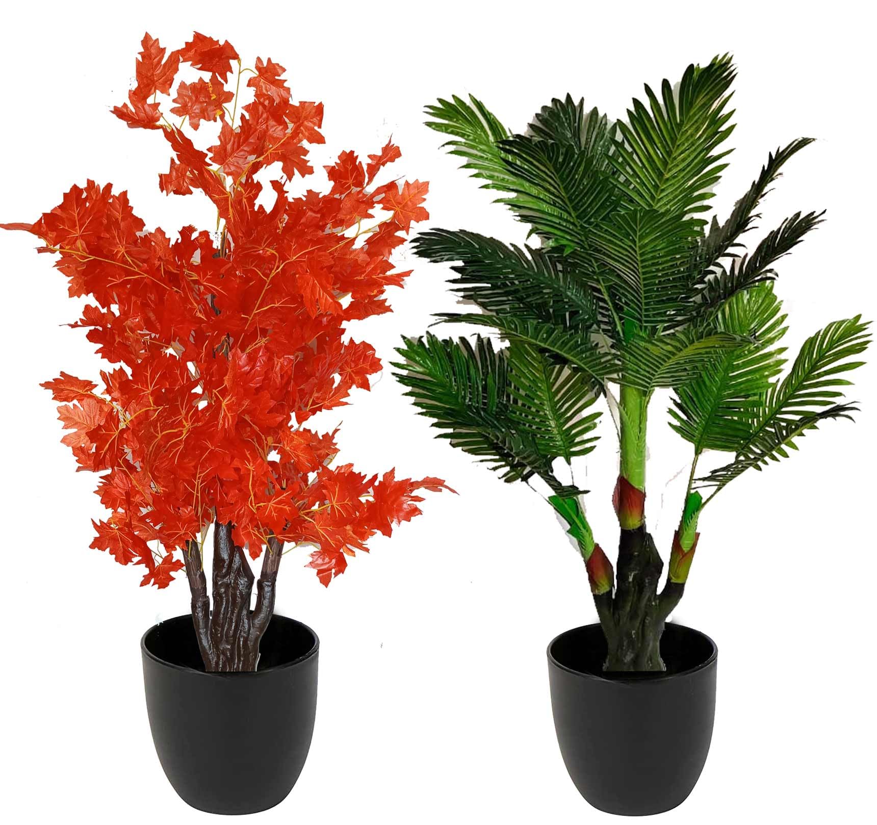 5 Ft Big Artificial Palm Tree and Red Maple Tree Plant for Home, Office, Hotel Decor and Housewarming Gift - (Pack of 2)