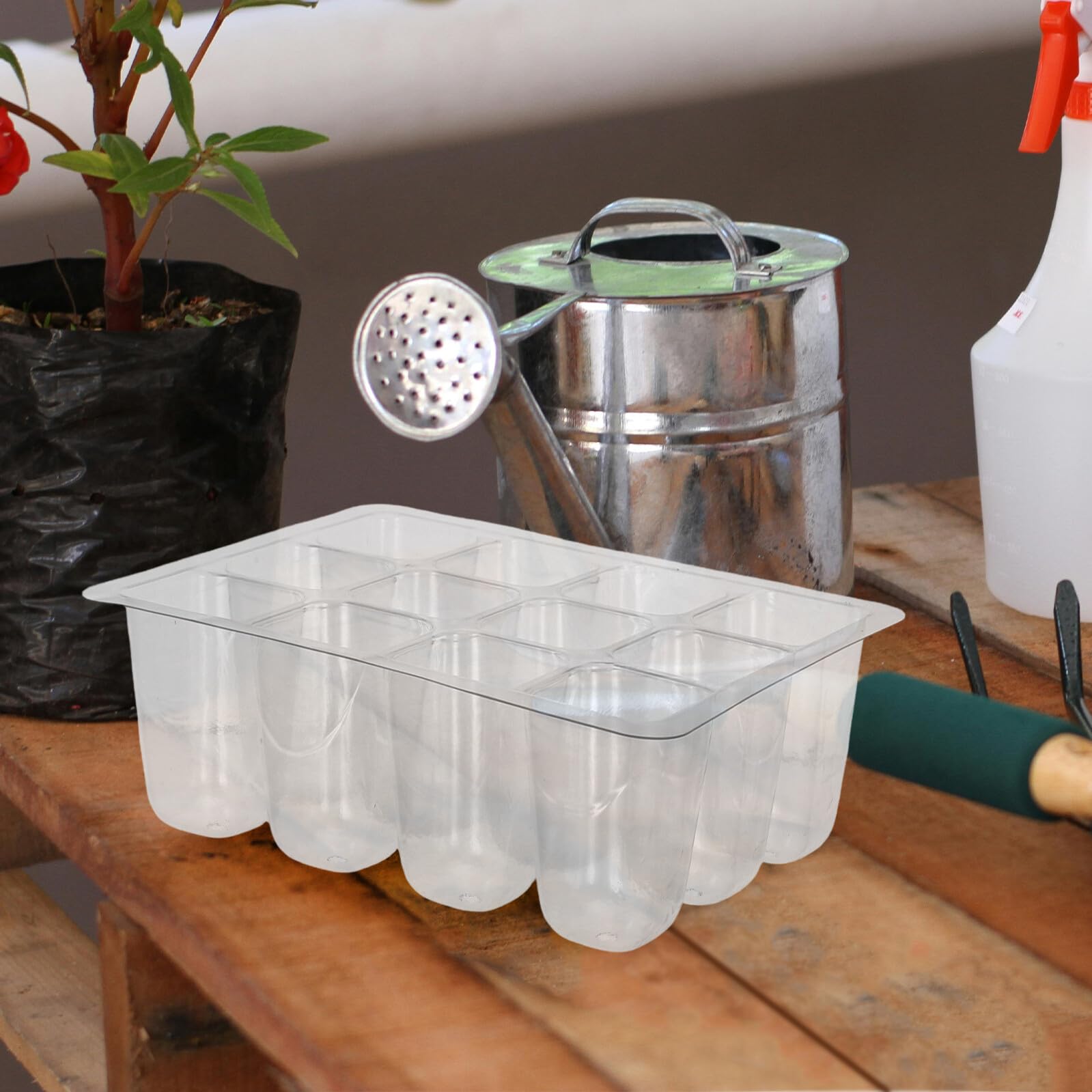 Bandejas de Germinación de Plántulas Transparentes de Plástico 30 Piezas | 12 Celdas con Orificios de Drenaje, Reutilizables, para Jardinería Interior y Plantas Ornamentales