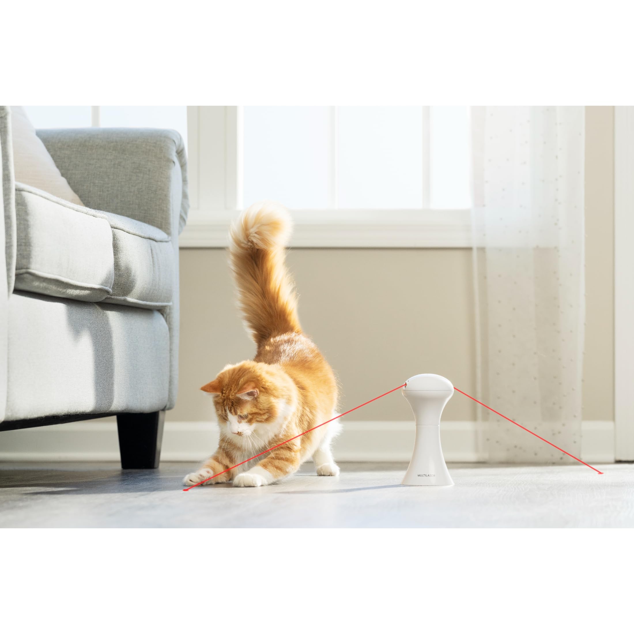 PetSafe Jouet Multi-Lumières pour Chats - 0,34 kg