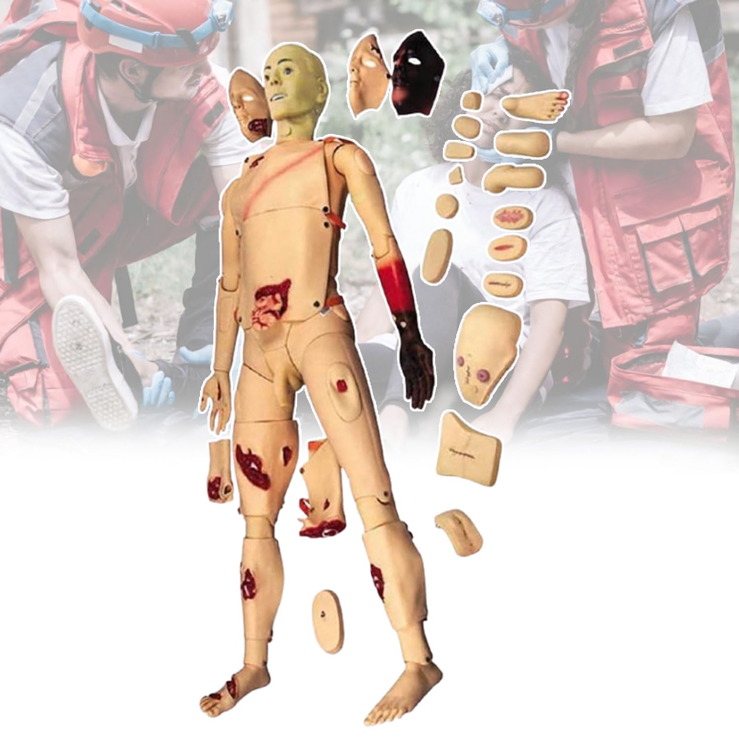 Modello avanzato di addestramento di primo soccorso, modello di simulazione per abilità infermieristiche e gestione delle vie aeree RCP, assistenza medica educativa completa per la cura delle ferite