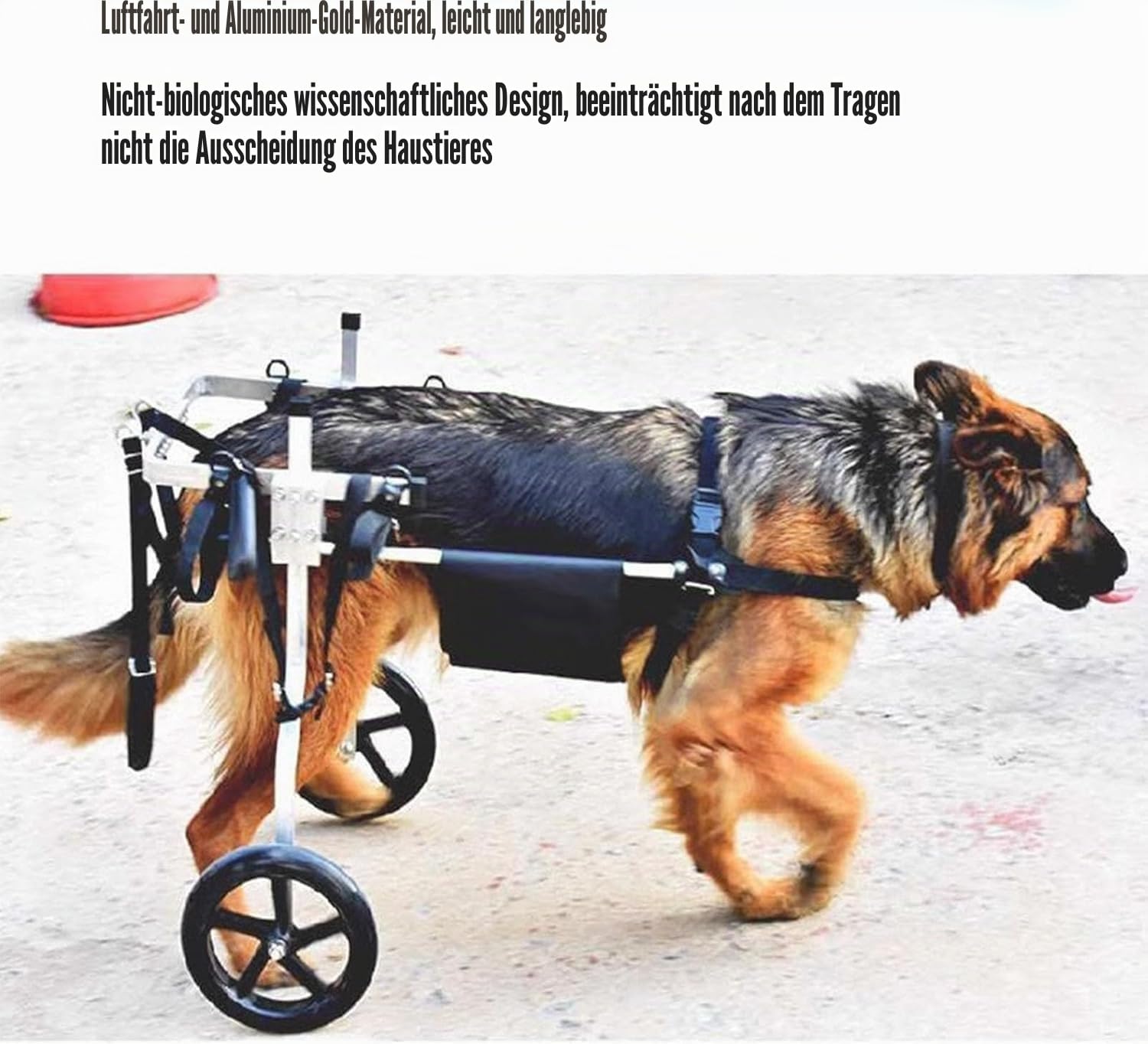 Mittlerer und großer Hunderollstuhl, Rehabilitationshilfe, Hinterbeinstütze, Hundewagen mit Rädern, für die Rehabilitation der Hinterbeine (L)