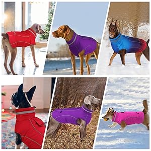 Doglay Waterproof Dog Coat, Reflective Dog Winter Jacket with Pocket & Turtleneck, Warm Puppy Snow Jacket for Small Medium Large Dogs - Pink, M