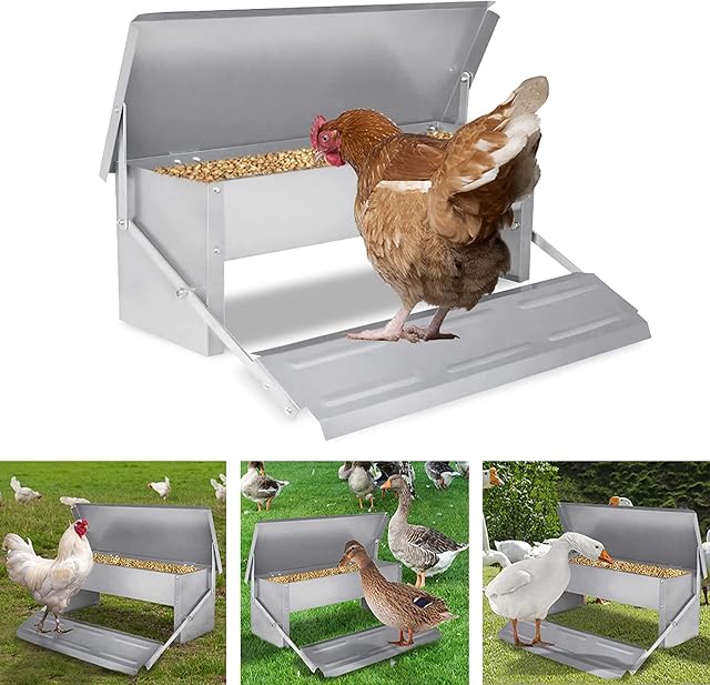 ybaymy Auto Chicken Feeder 5 Kg Capacity Poultry Feeder Aluminium Chicken Treadle Feeder Automatic Self Opening Waterproof No Spill with Weatherproof Lid for Chickens and Poultry