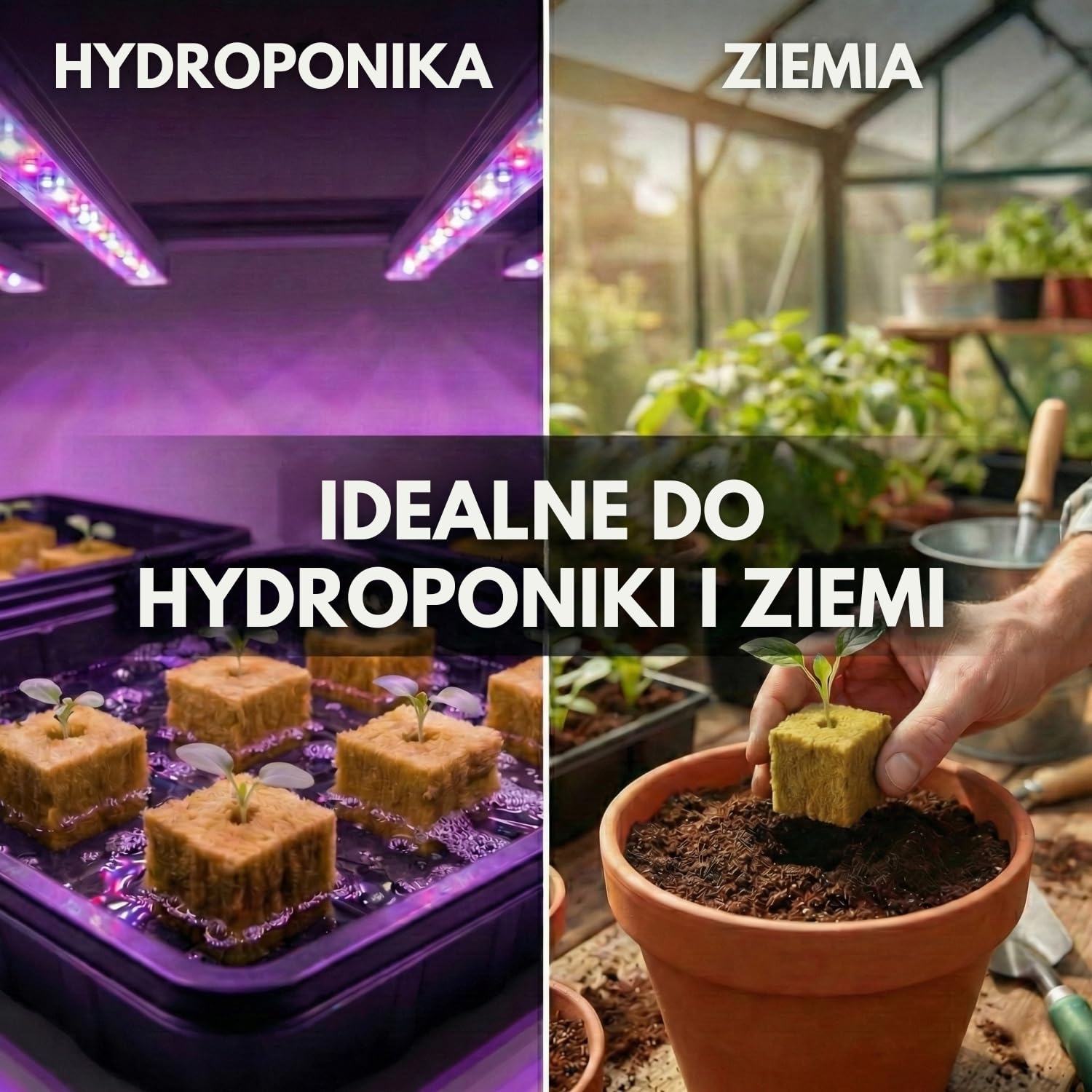 Zestaw 100 Kostek Wełny Mineralnej do Hydroponiki (2,5 cm) do Kiełkowania i Sadzonek, Napowietrzone Podłoże Wspomagające Szybki Wzrost, Ogrodów