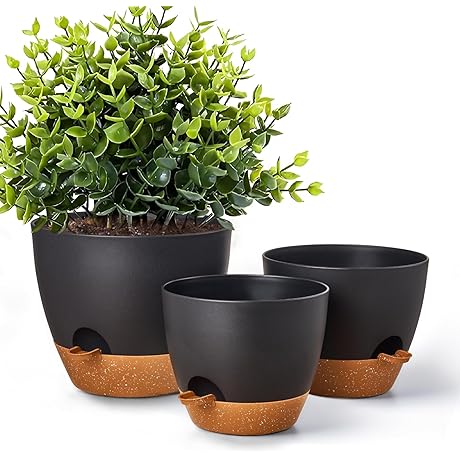 Self Watering Planters - The Last Word in Plant Care
