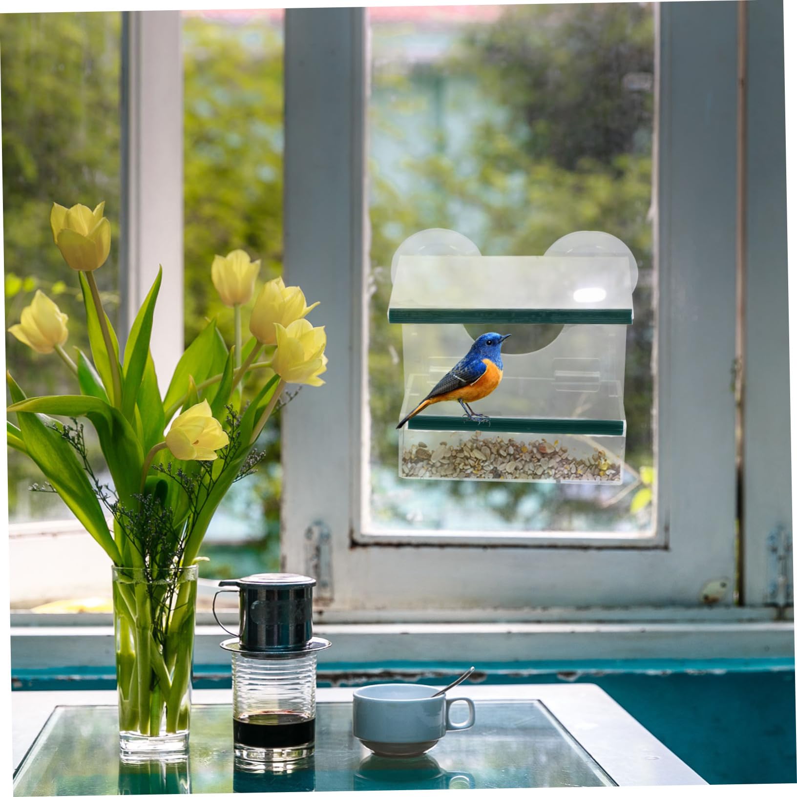 Alimentador de Pájaros Colgante Transparente con Ventosa Estación de Alimentación Resistente para Exteriores Comedero Desmontable para Pequeños Pájaros para Ventanas y Jardín