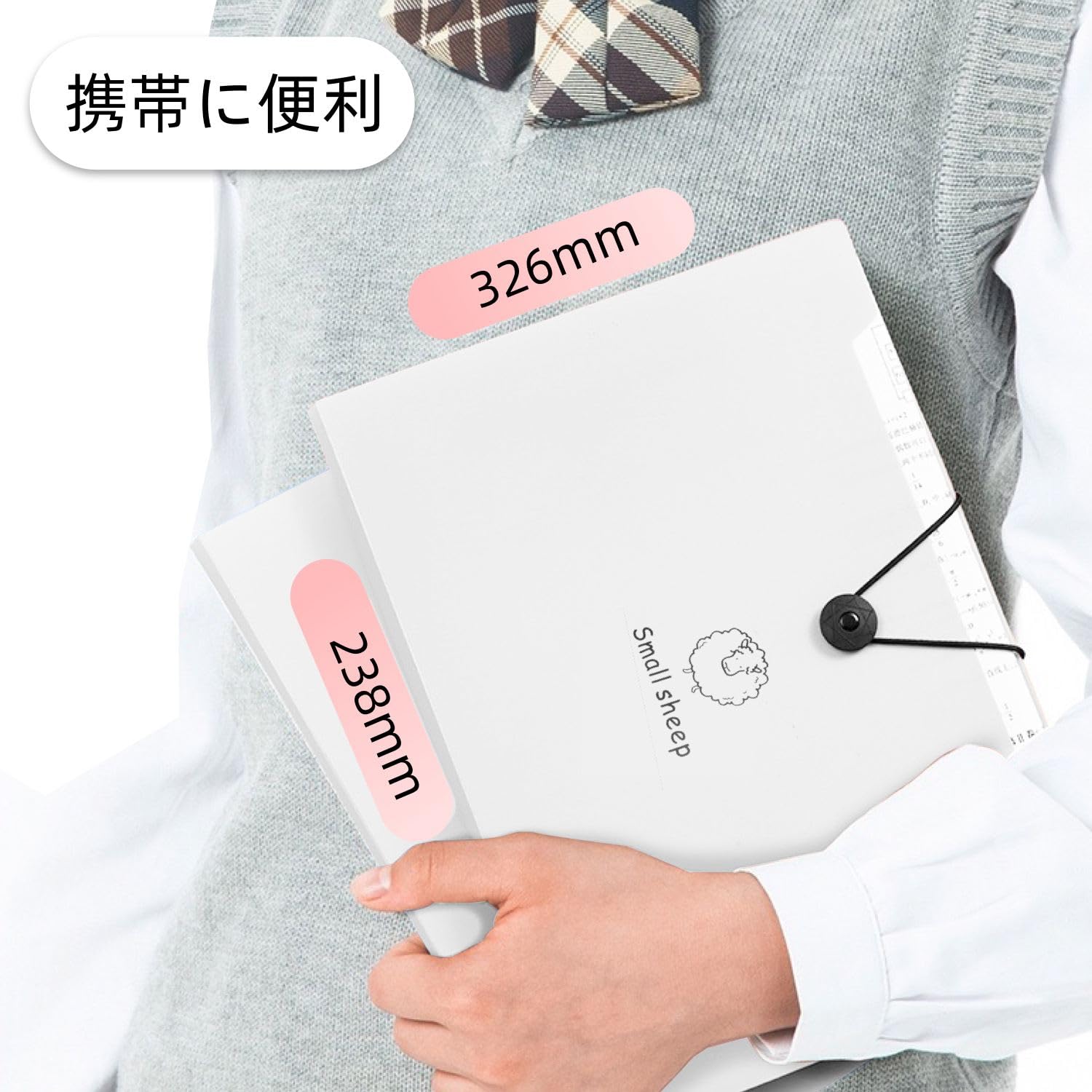 Amazon | ドキュメントファイル A4 8仕切り 2本セット 蛇腹 ファイル