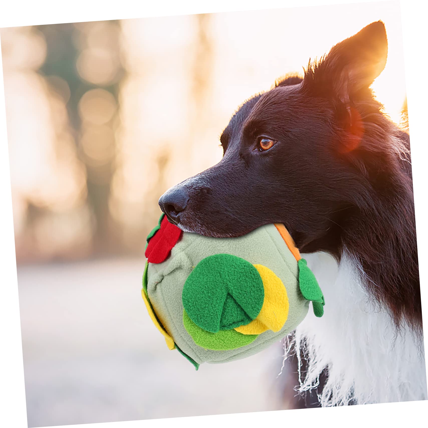 Angoily 3stücke Hundeschnüffelball Interaktives Futterspielzeug Für Hunde Fördert Die Sinne Bunte Farben Stressabbau Für Kleine Bis Große Hunde Für Spiel Und Spaß Beim Füttern