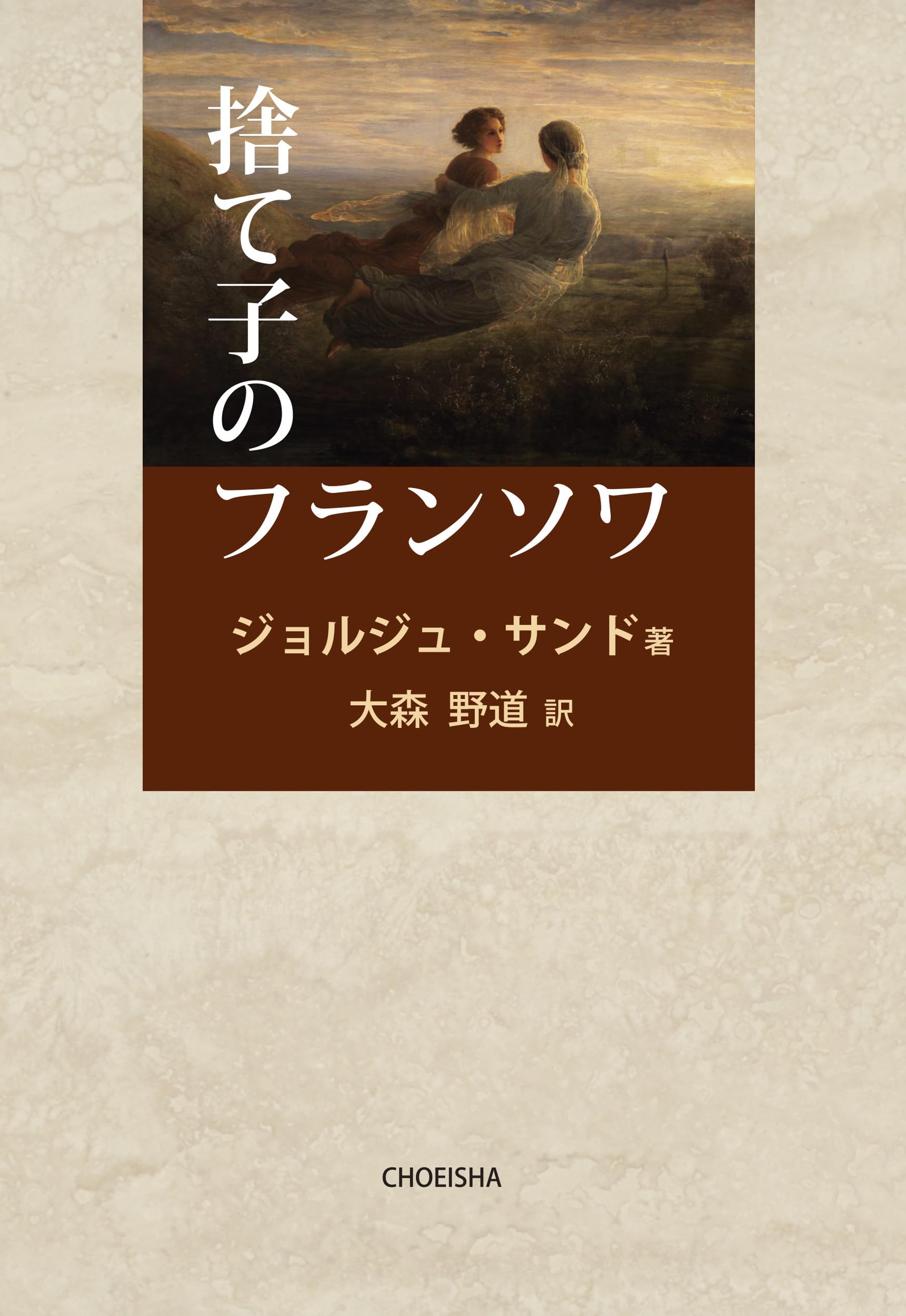 フランス1886年発行の古書（ジョルナル・デ・ドゥモワゼル） マガジン・デ・ドゥモアゼル1863年 フランスアンティーク 本 古書 彩色