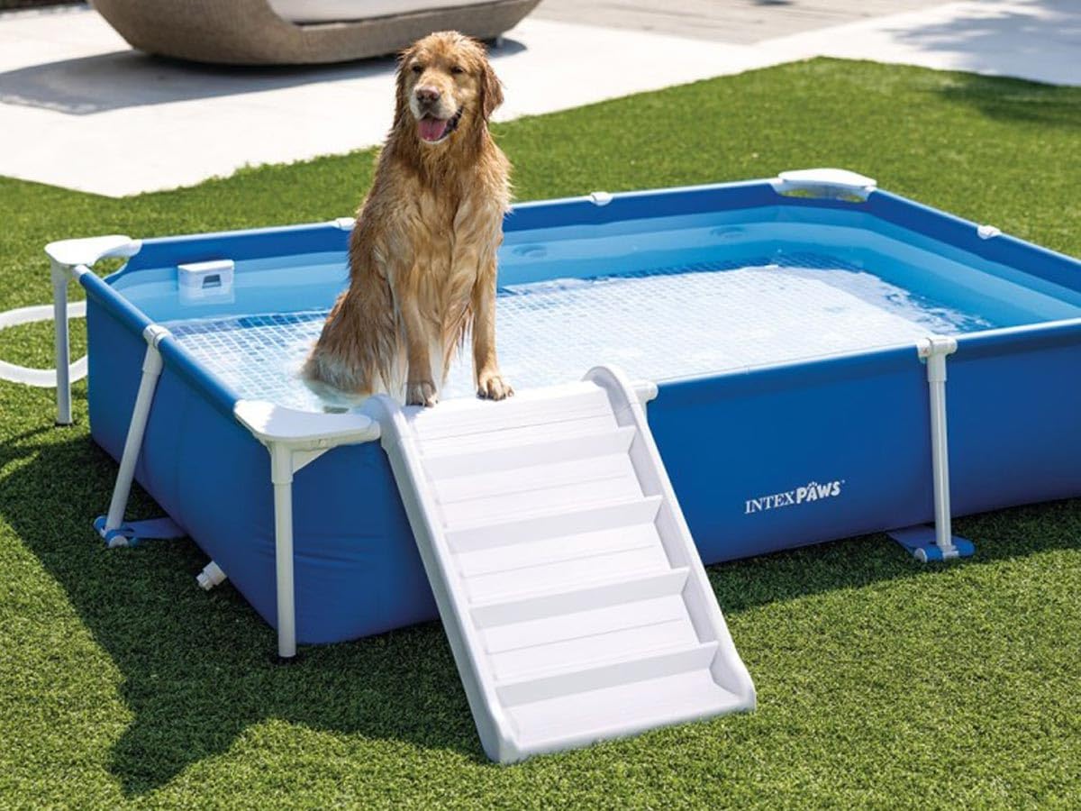 Intex 48404GN Rechteckige Hunde Rahmen Pool, Blau, 229 x 152 x 45,7 cm